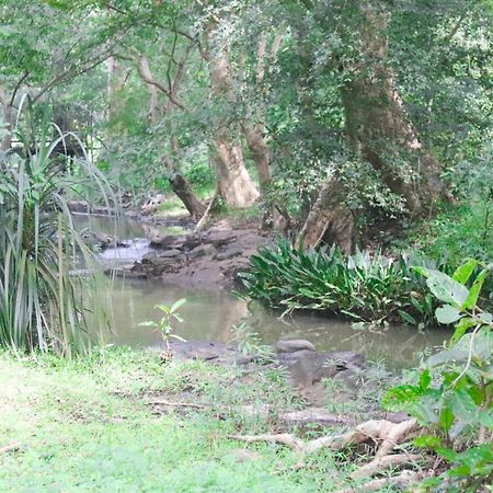 Nature Glow Cottage Udawalawe Luaran gambar