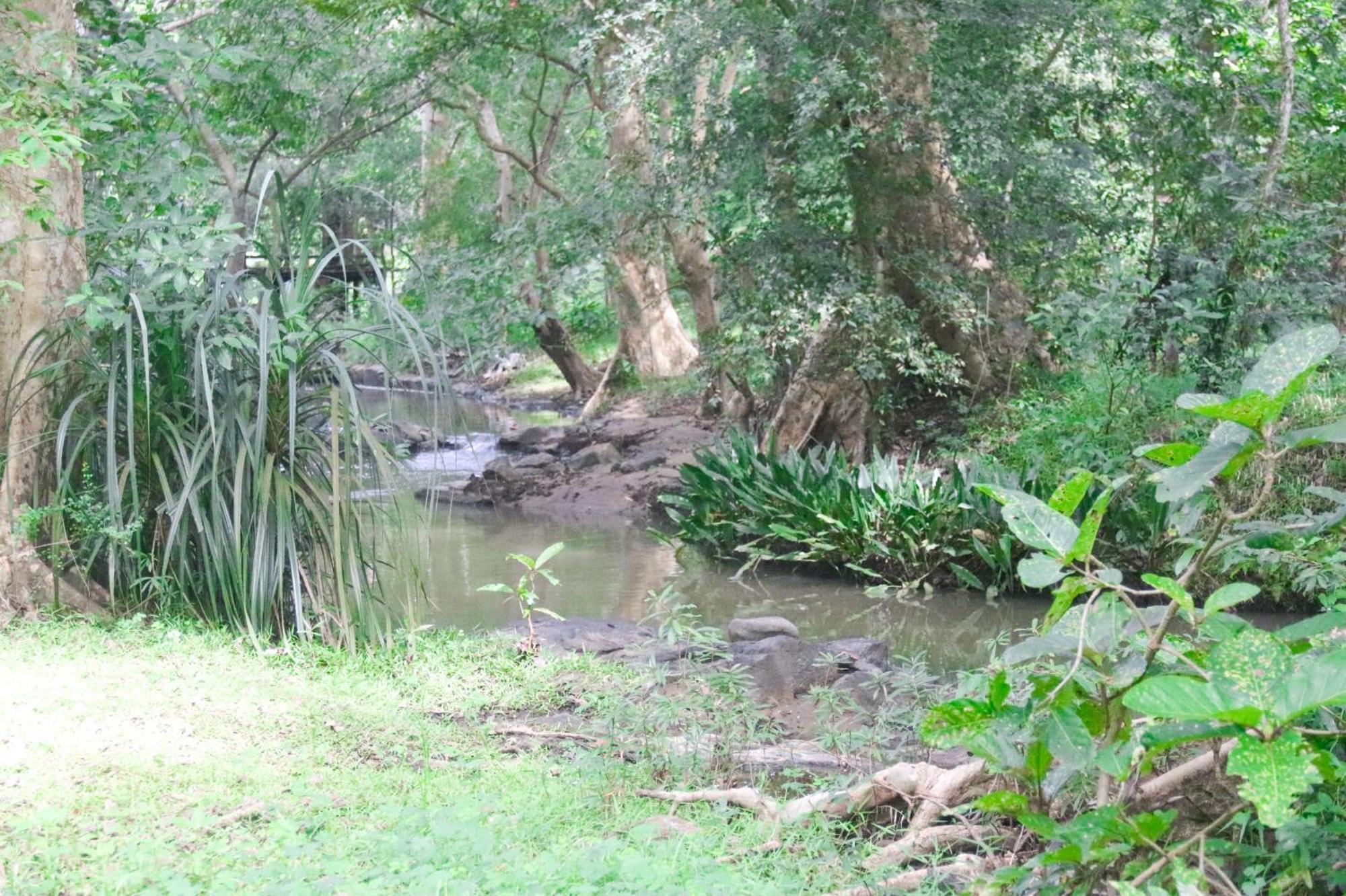 Nature Glow Cottage Udawalawe Luaran gambar