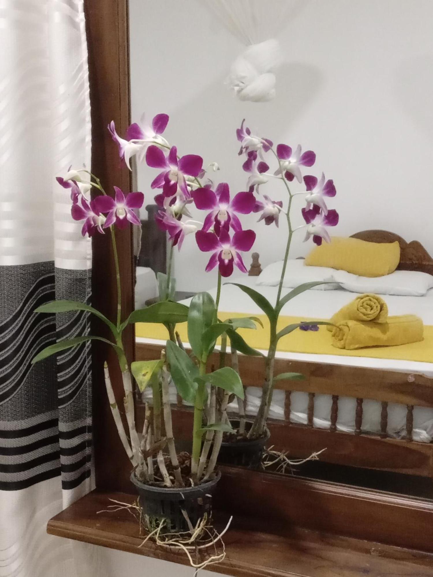 Nature Glow Cottage Udawalawe Luaran gambar