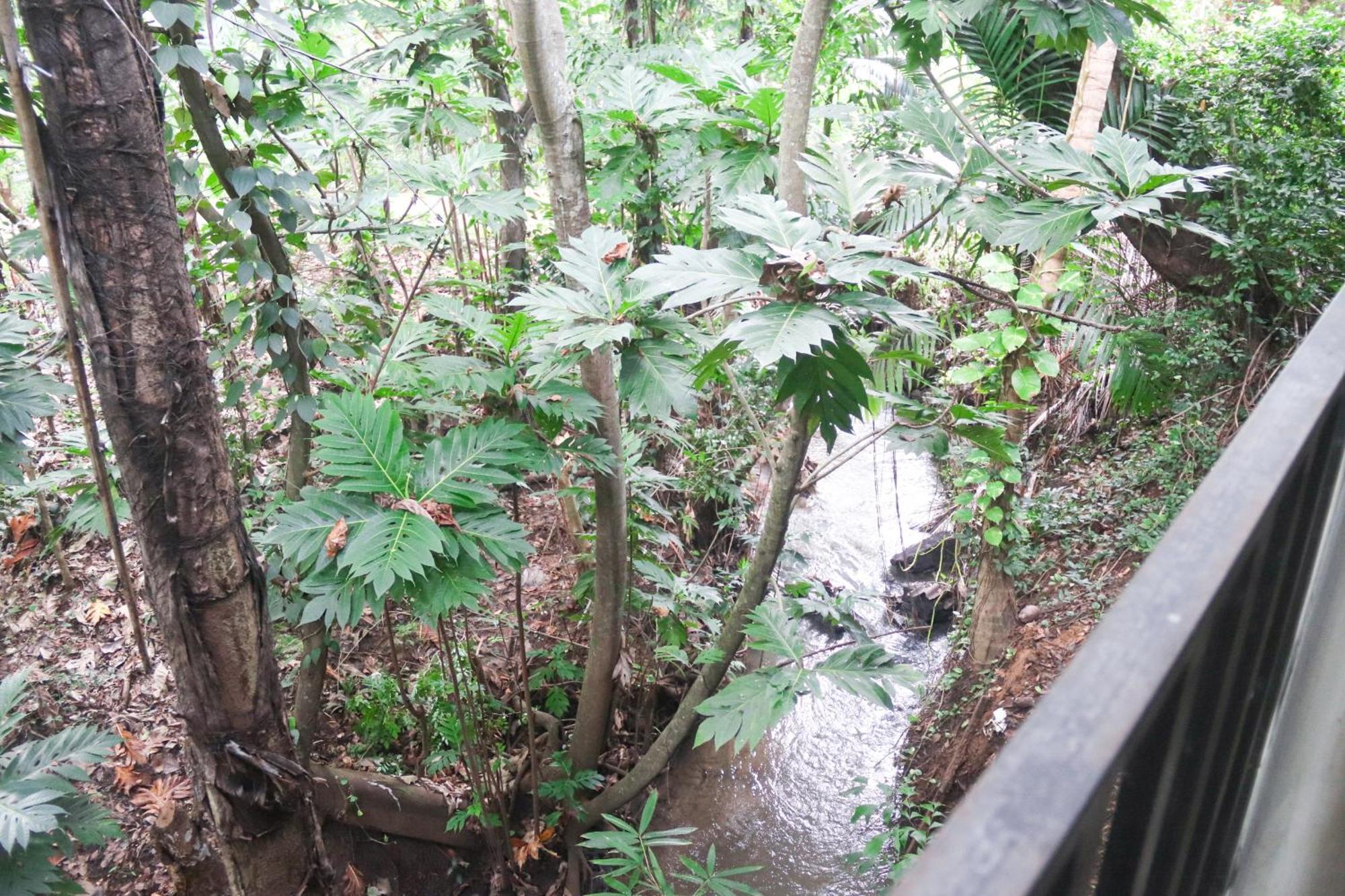 Nature Glow Cottage Udawalawe Luaran gambar